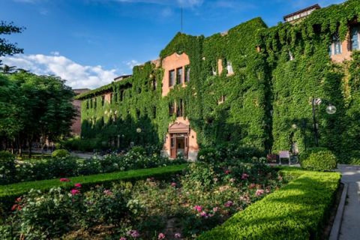 A Father's Gamble: Sending a Westernized Son to Tsinghua Pays Off
