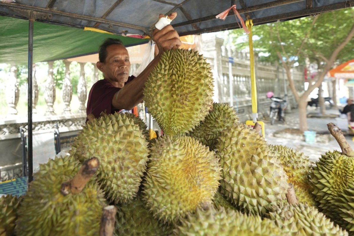 China's New Import Rules Reshape Agricultural Supply Chains Across Asia