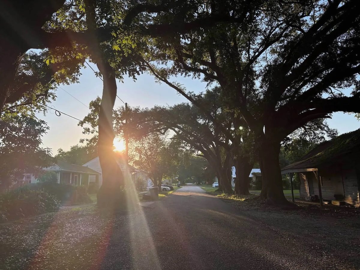 Hyundai's Louisiana Steel Mill: Green Promise Meets Local Skepticism