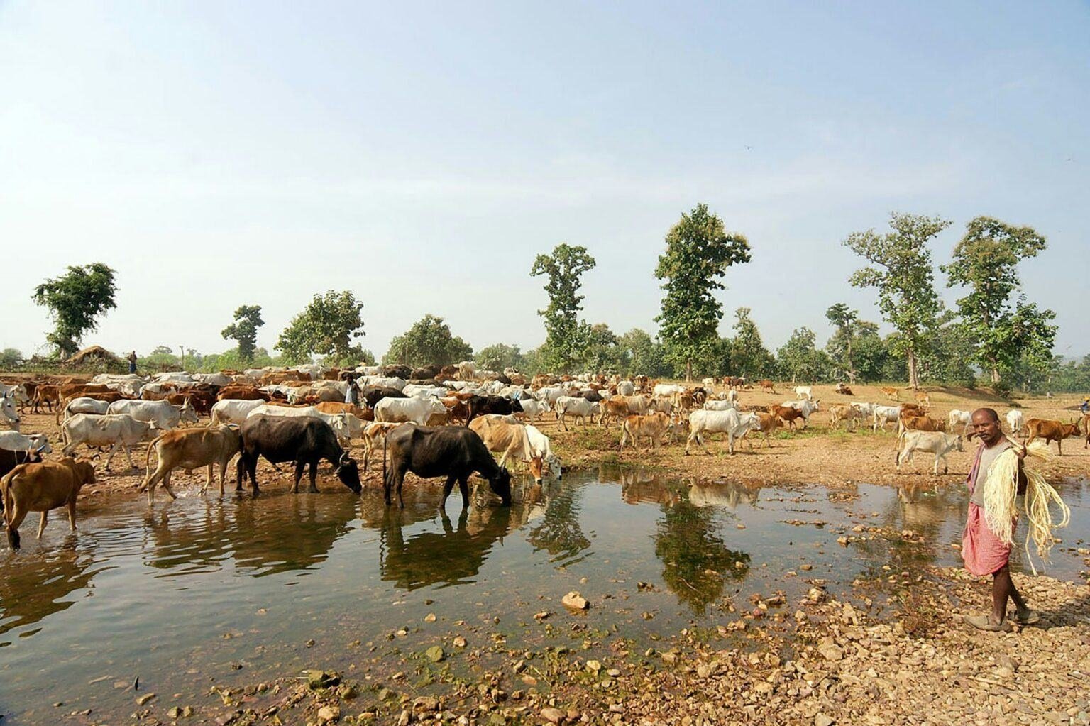 India's environmental decline threatens its manufacturing and global ambitions