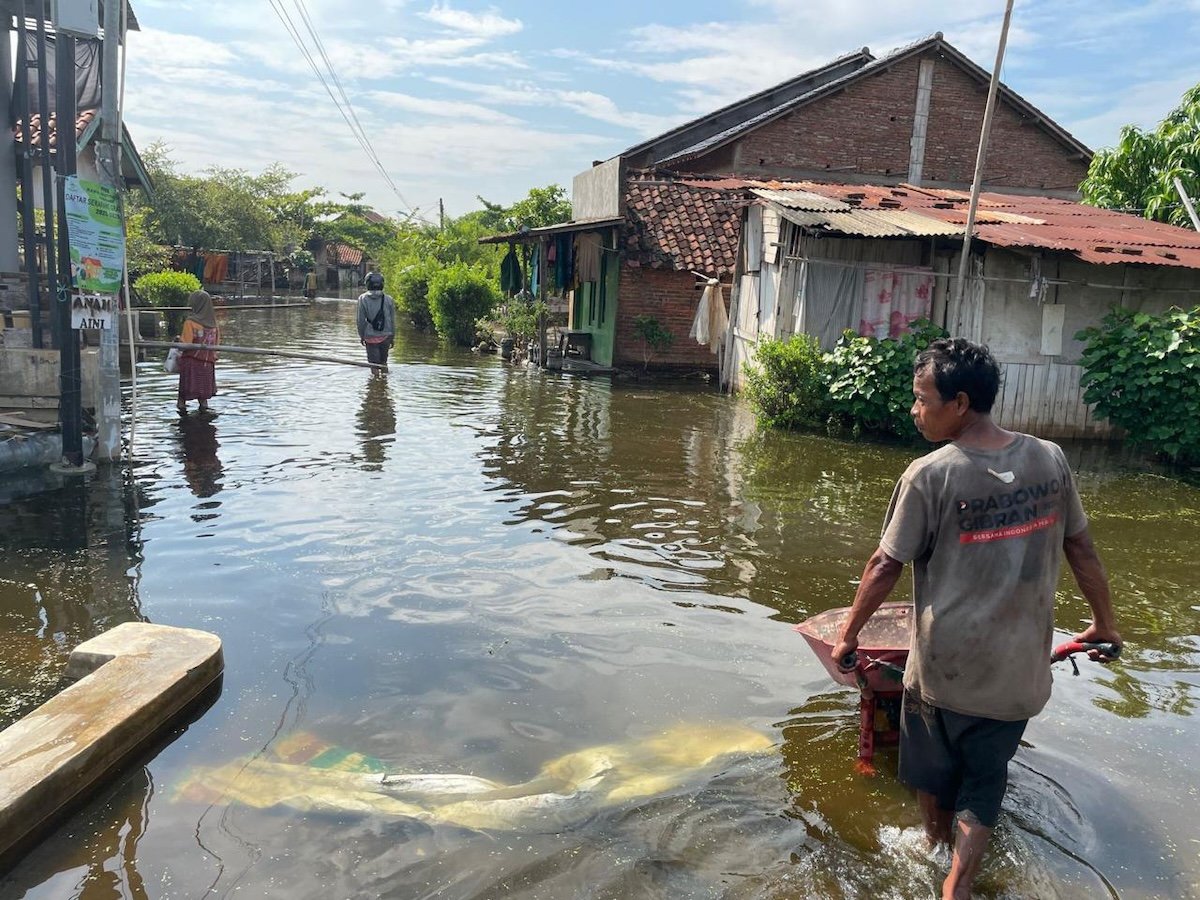 Indonesia's $80 Billion Giant Sea Wall Plan Faces Feasibility and Ecological Hurdles