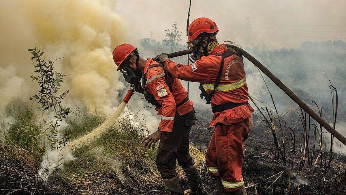 Indonesia should push for a seat in new global forest fire fund