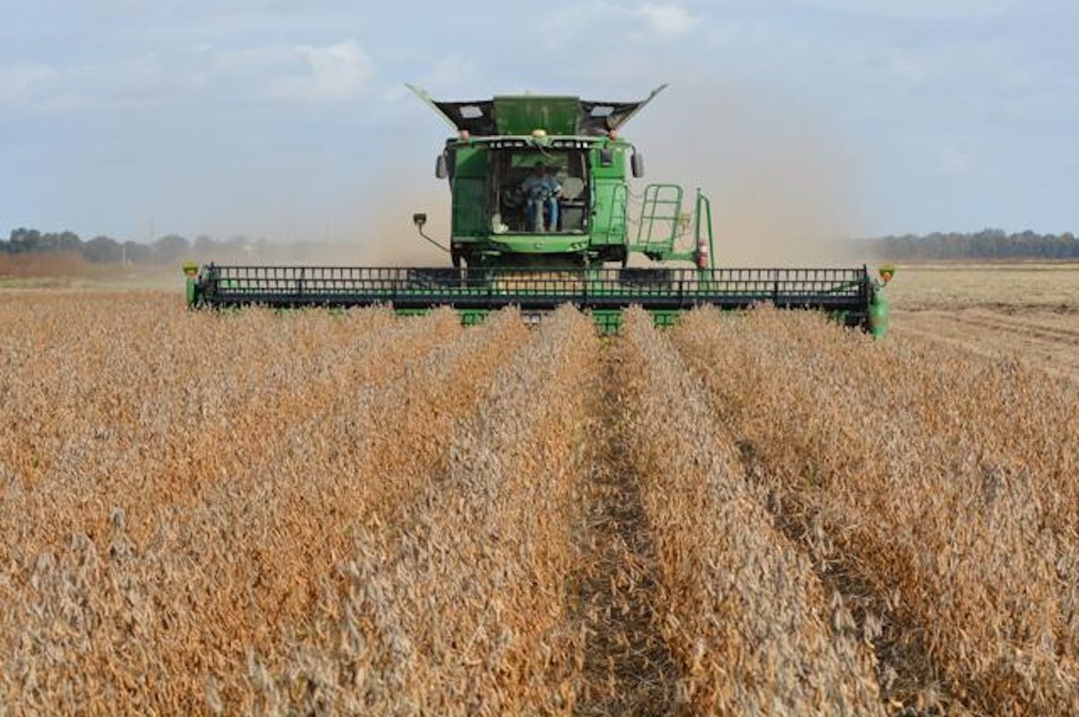 Soybeans on the Table in Beijing, but US Farmers Should Curb Hopes
