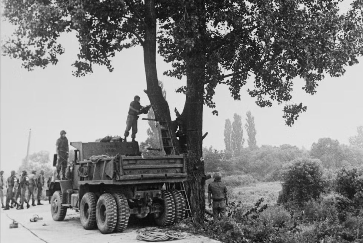 The Tree at Panmunjom: A Novel Revisits the 1976 Axe Murder Incident