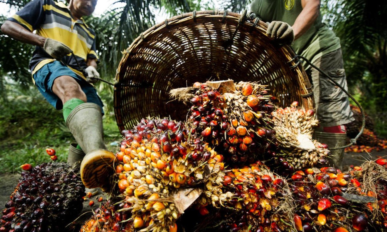 Trump's New Tariff Strategy Targets Indonesia with Layered Duties