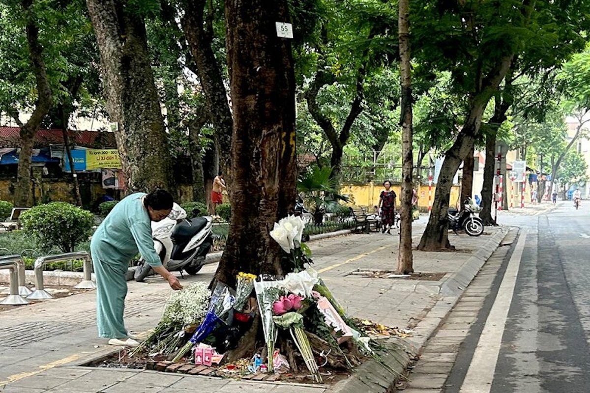 Vietnam's 'justice tree' campaign exposes limits of online dissent